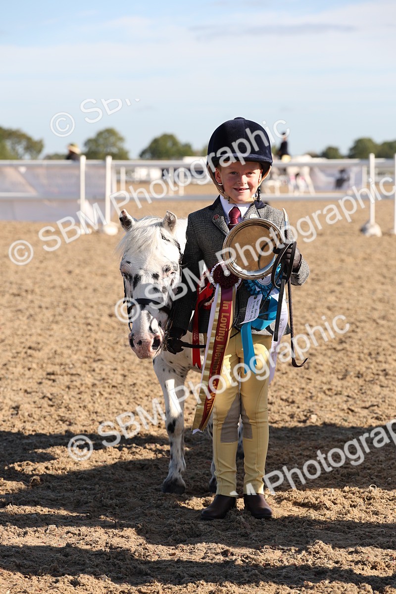 SBM_11692 - Class 203 - Young Handler 11 to 16 years
