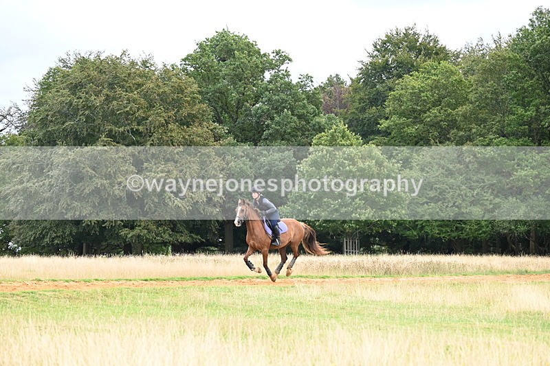 DSC_4987 - Time at Statue 11:10 to 11:42