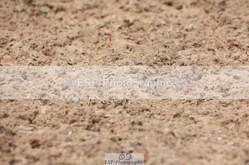 240621A-114032-00475 - Cls 12 BD Music Medium