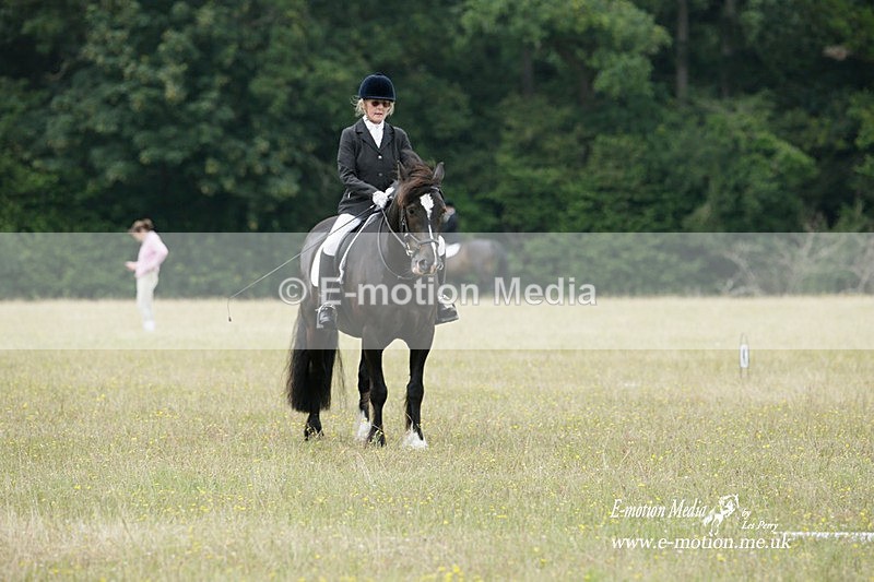 BVRC 030721 59 - Bourne Valley Riding Club Dressage 03/07/21
