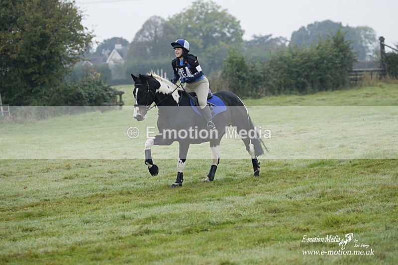 WWHT 171021 0126 - Novice Restricted (0.80m)  17/10/21