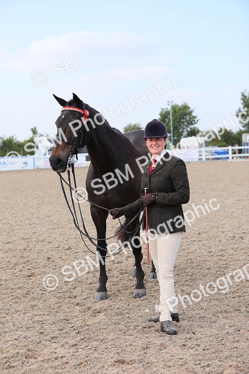 SBM_15890 - Class 312 IH Competition Horse/Pony