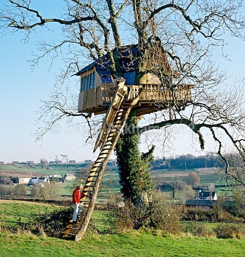 Tree House - Crafts