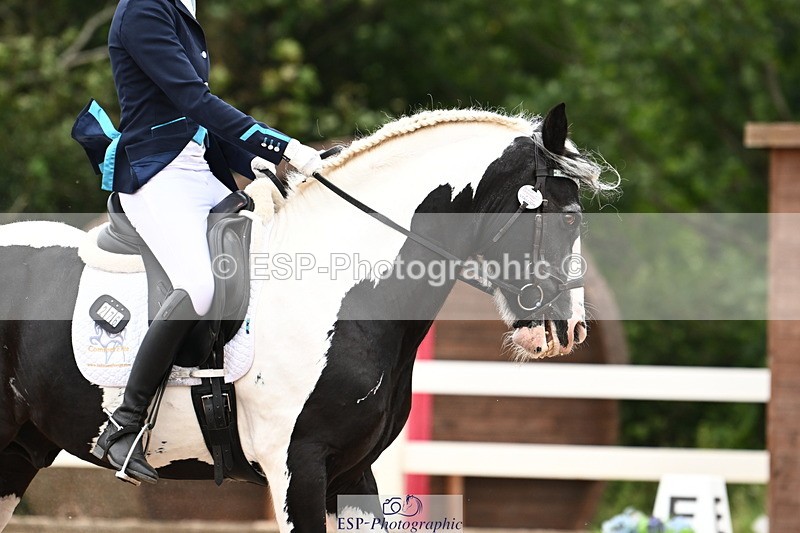 240815A-142804-02036 - 276-Alys.Matravers-Tiger.Tim