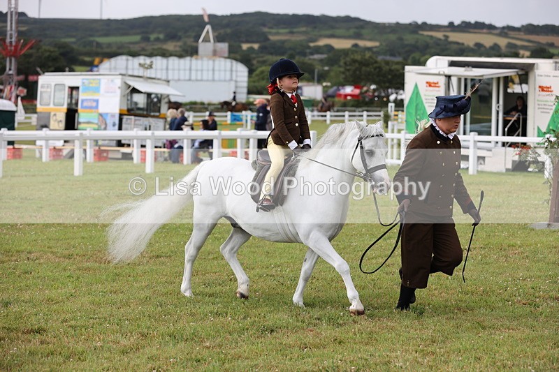 JPP_0333 - Class 14: Cornish Combination Leading Rein