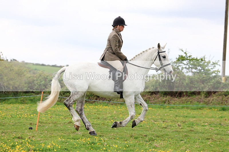 3E7A1253 - Class 7: Ridden Hunter Type