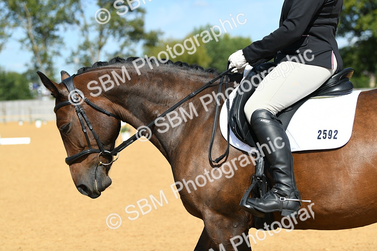 SBM_22596 - D13 - Grand Tour Championship - Prelim 12