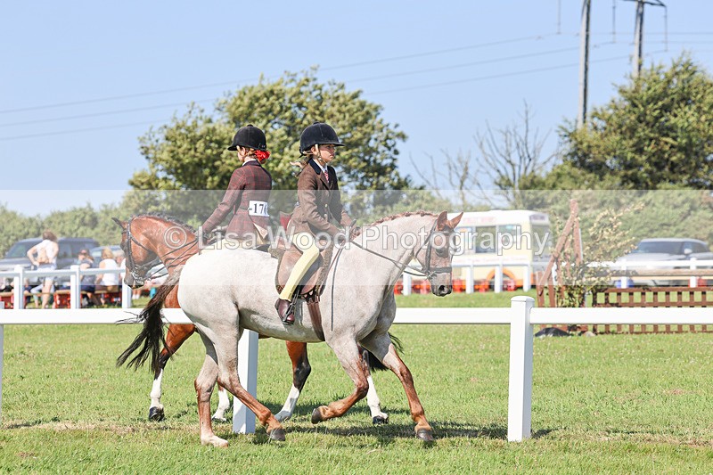 IMG_1883 - Class 33: Show Pony 148cm and under
