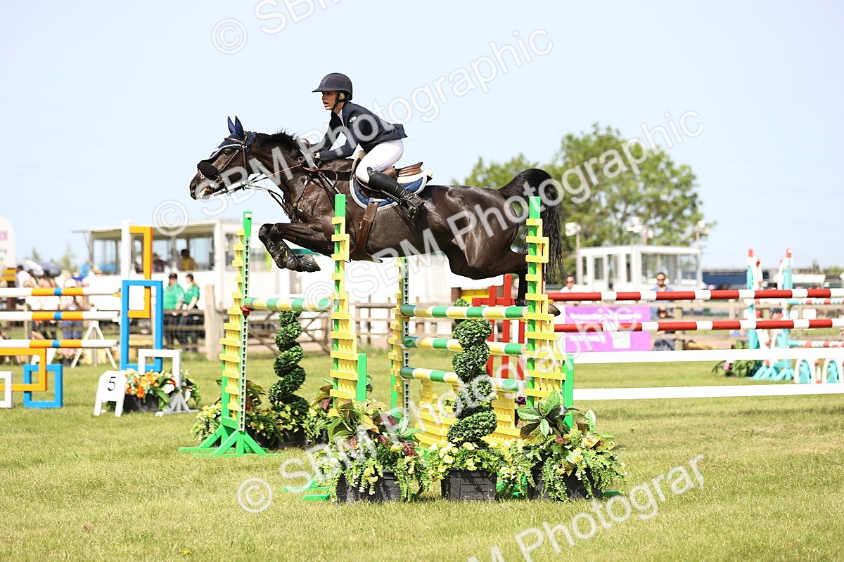 SBM_03053 - Class 201 - British Horse Feedds Speedi Beet HOYS Grade C