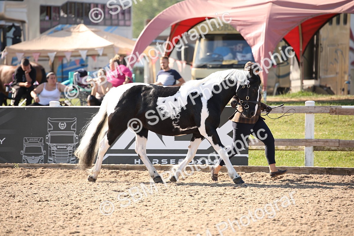 SBM_01449 - Class 15 IH Coloured