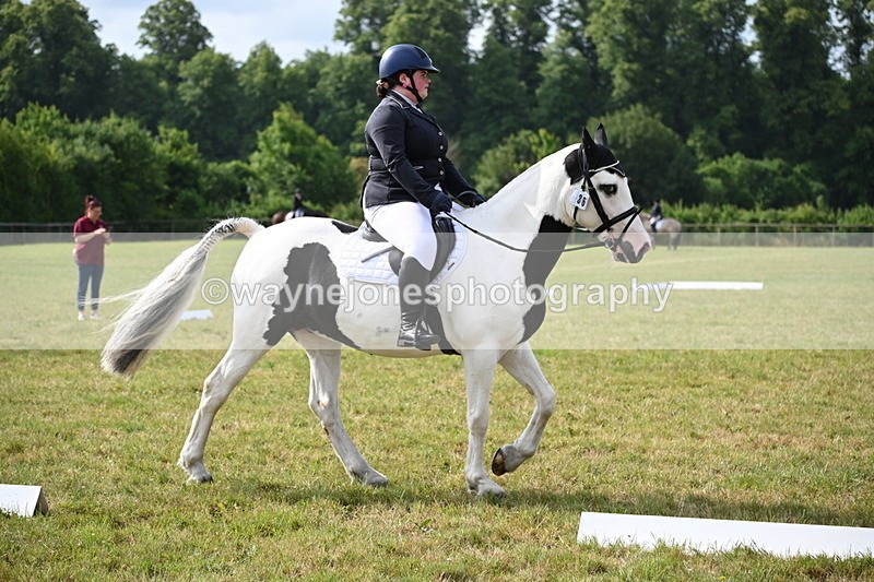 WJ6_5285 - Time 09:00 to 09:42