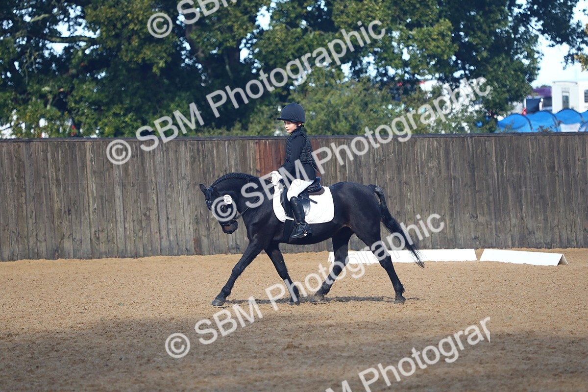 SBM_38910 - D21 - Junior Championship Intro 1