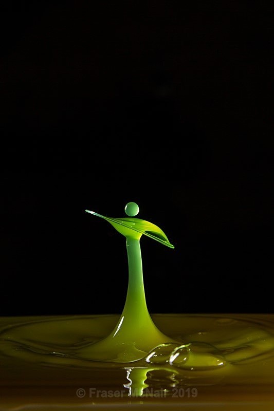 Water Droplet 9045 - Abstract Photography