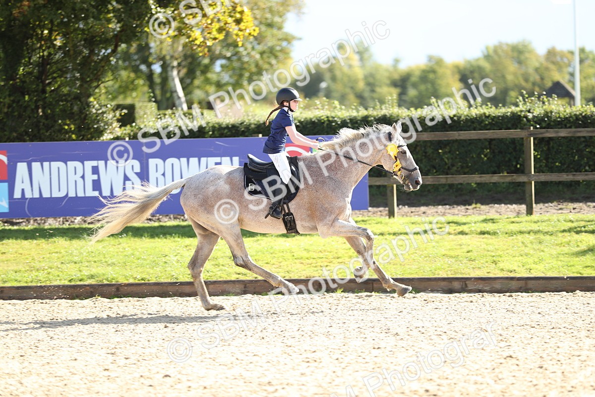 SBM_37391 - J20 - Junior Horse 50cm Championship