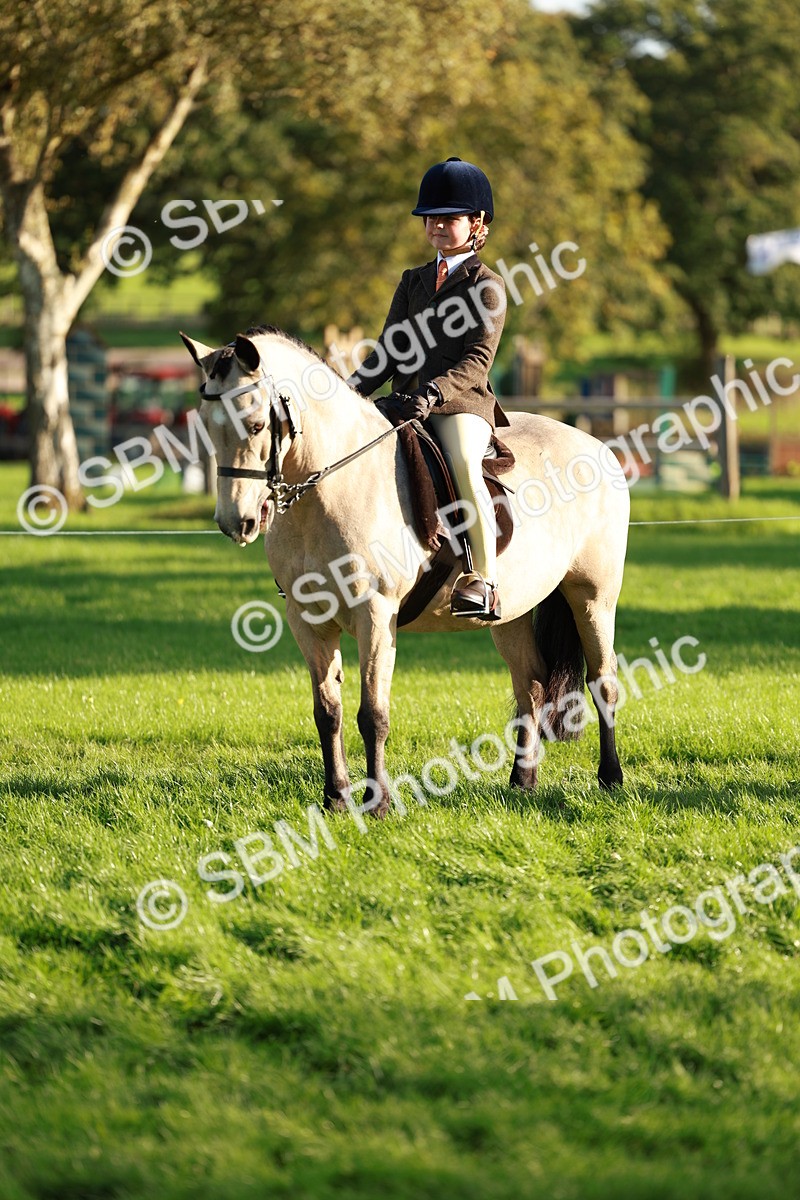 SBM_28761 - S7 - Novice & Newcomer Ridden Pony