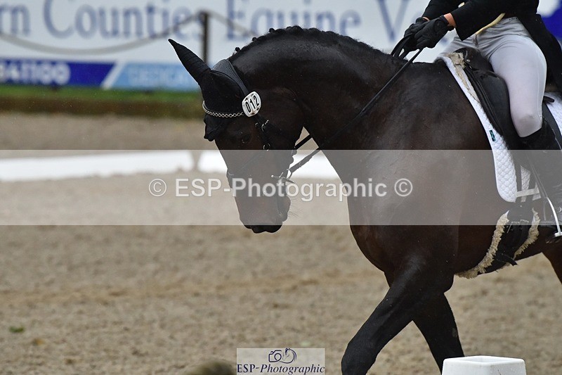 231018-154532-00872 - 012-ROMANY.CRICKET-Nana.Dalton-DR