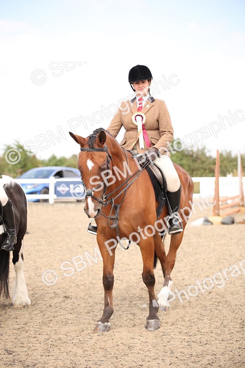 SBM_14380 - Class 407b - Working Veteran 60cm (20+)