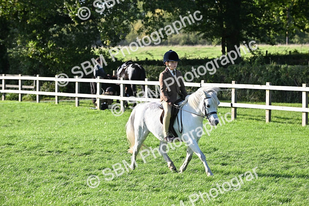 SBM_53030 - S23 - First Ridden Mountain & Moorland Pony