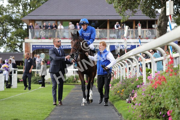 yr19082022r6-43 - Race 6 4.45 pm British Stallion Studs EBF Convivial Maiden Stakes