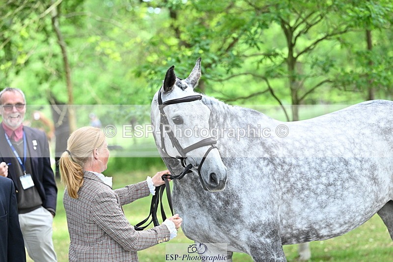 250521A-151947-00426 - B-357-Rosalind.Canter-ARMSCOTE.EXPLORER