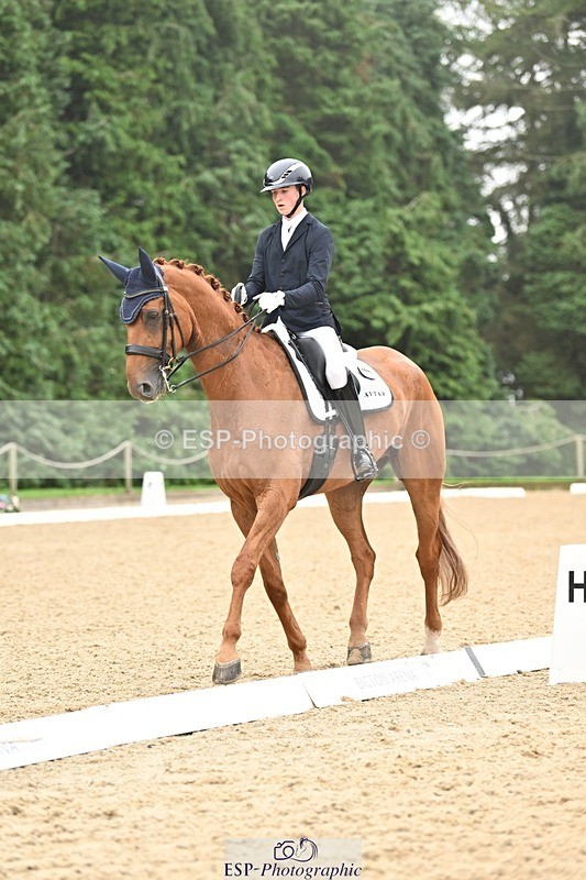 240811-113443-05211 - 208-Tom.Carter-Rubin.Regal