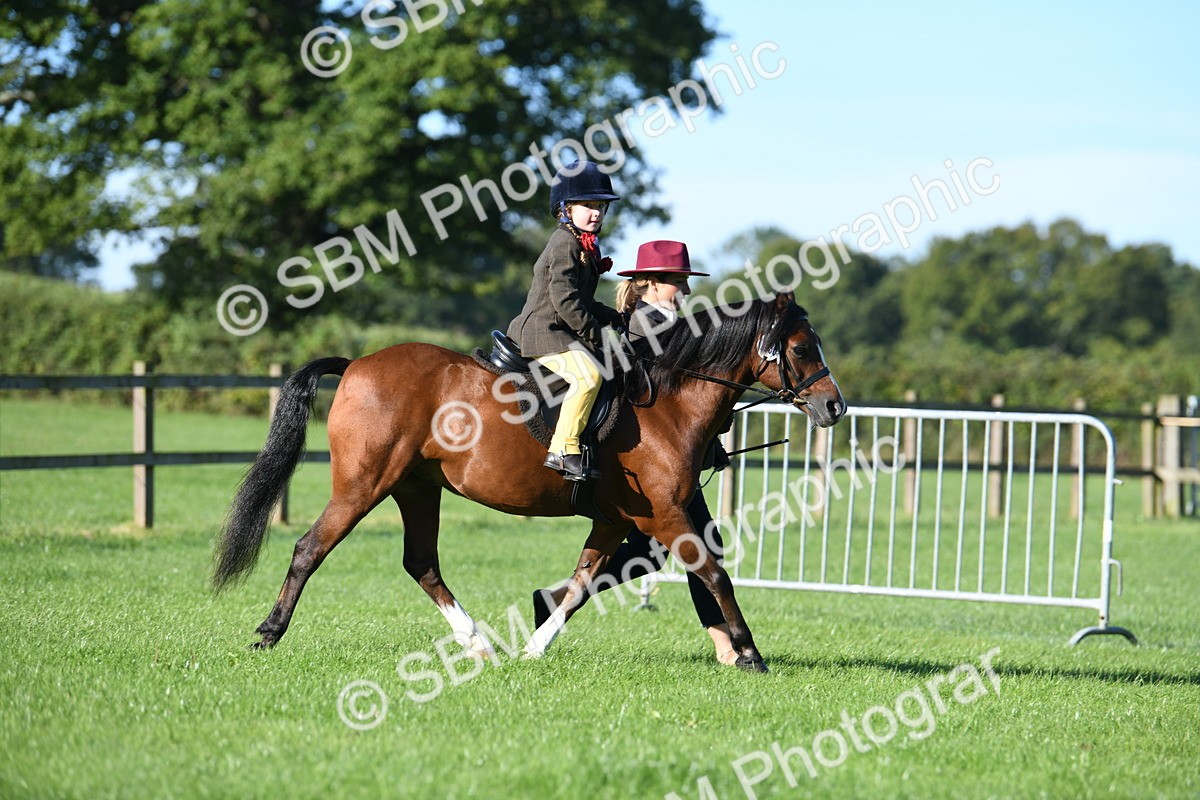 SBM_35345 - S17 - Condition & Turnout - Lead Rein