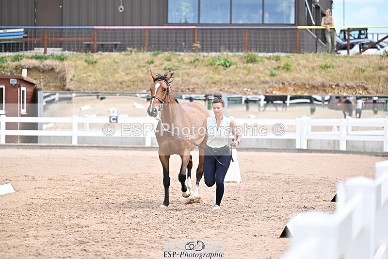 250716-131907-00430 - Trot Up 12.30 to 1.30