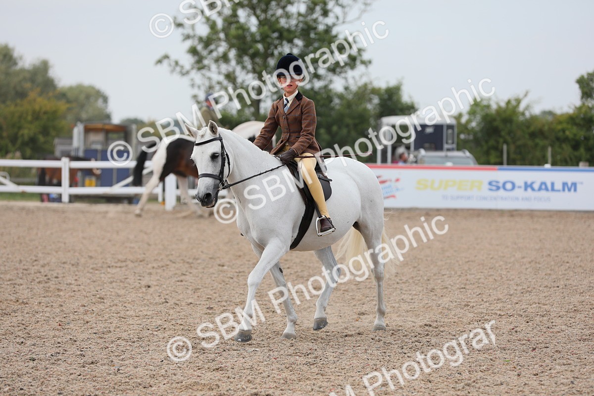 SBM_16878 - Class 314 Family Horse/Pony