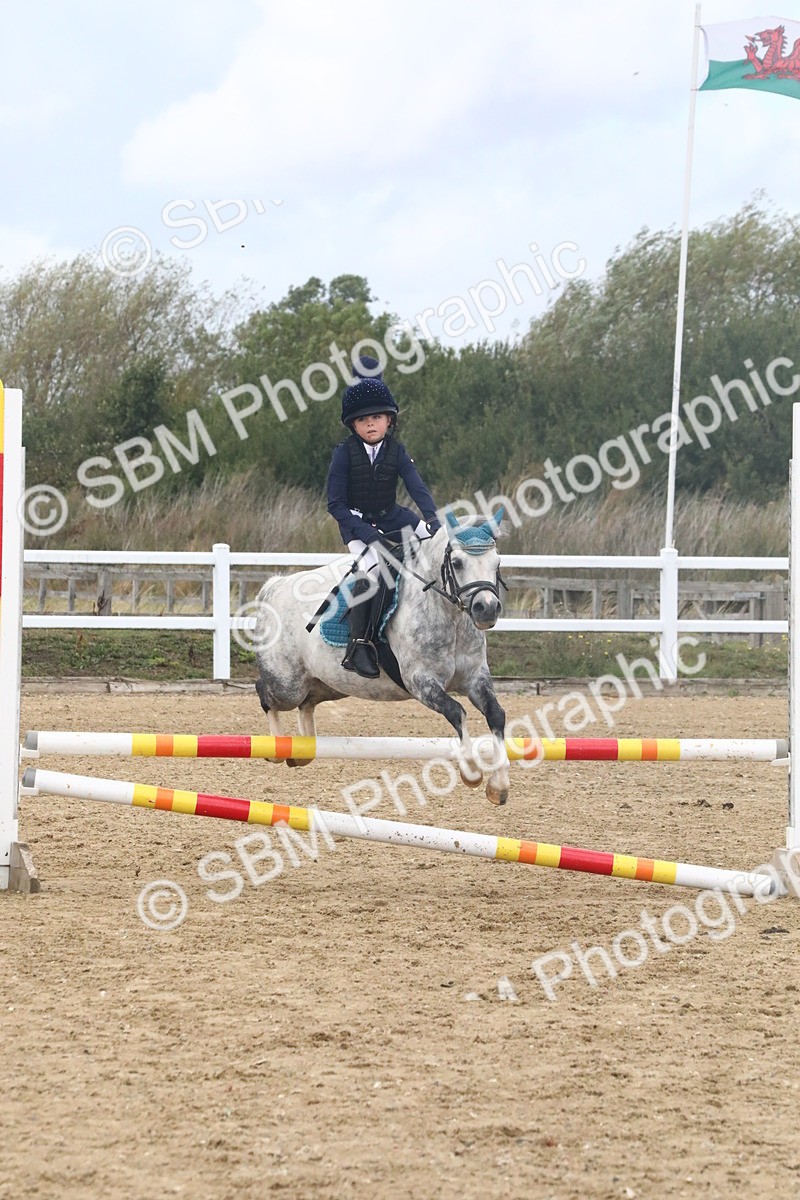 SBM_006101 - Class 6 - 60cm Champs