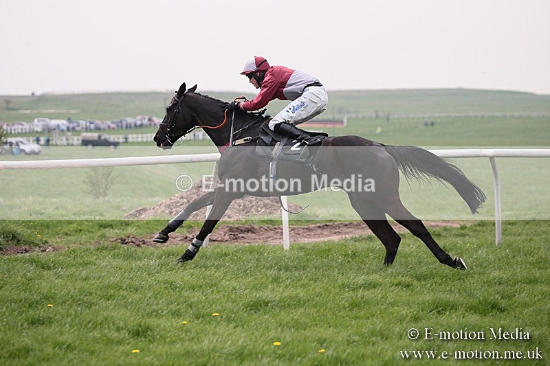 PtP 210418 128 - South & West Wilts Point-to-Point Larkhill 21/04/18
