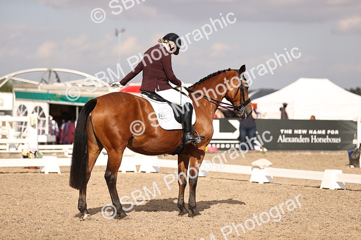 SBM_08083 - Class 39 Medium 3