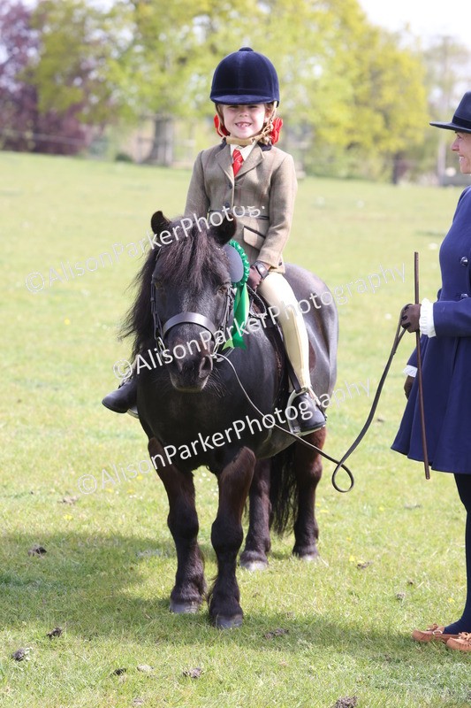 20260426-2626 - Class 31 - Leading Rein
