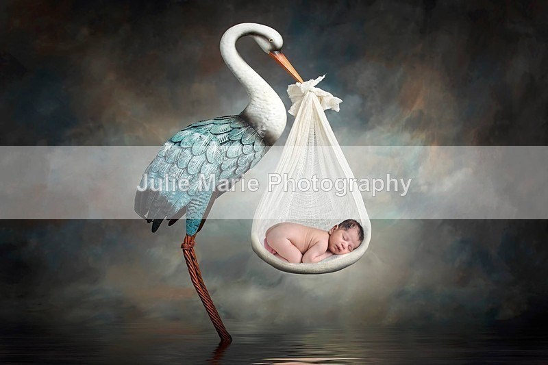 stork boy - Raj