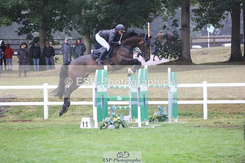 250830A-163310-07538 - Cls 17 Snr Foxhunter