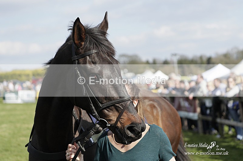 PtP 080423 693 - Dingley Races The Woodland Pytchley Hunt PtP 08/04/23