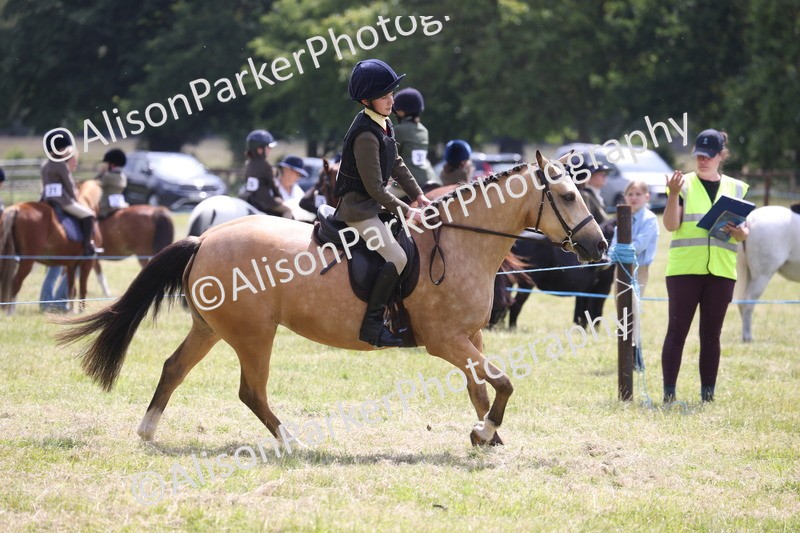 20260614-1798 - Class 21 - Novice Working Hunter Pony