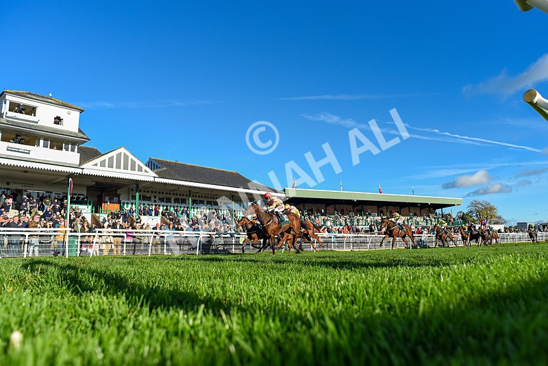 291024-Race 4-Rwenearlytheredad-2451 - Race 4