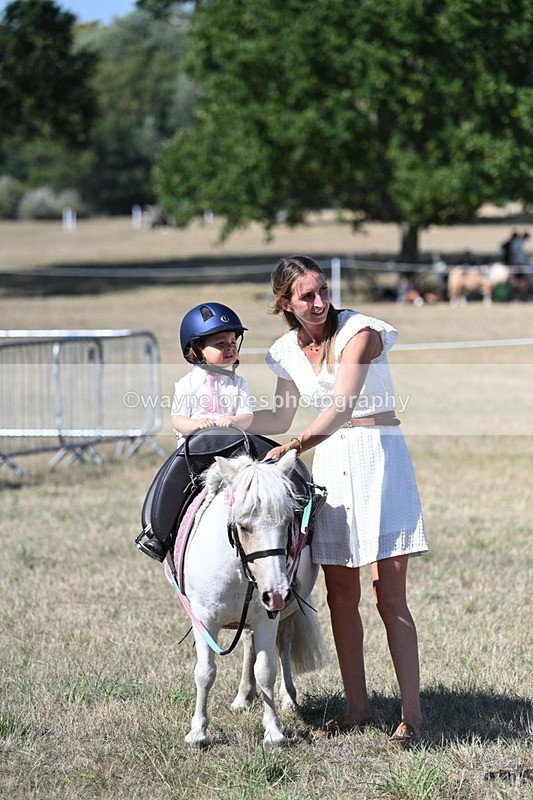 WJ7_1344 - Class 41 Prettiest Mare