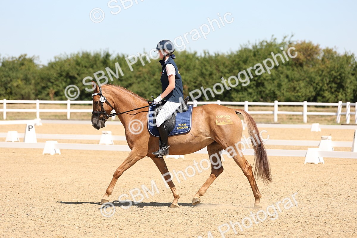 SBM_001236 - Intro 2