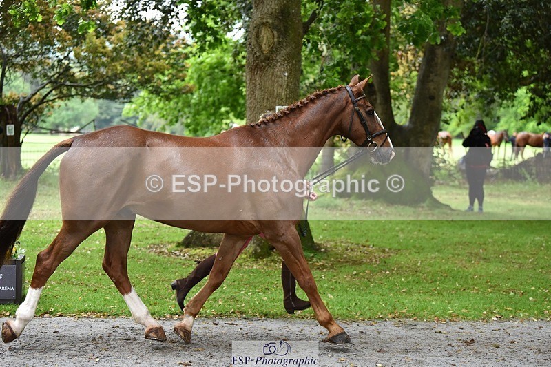 240522-162924-00953 - 258-KINGS_BELIEF-Mary_King