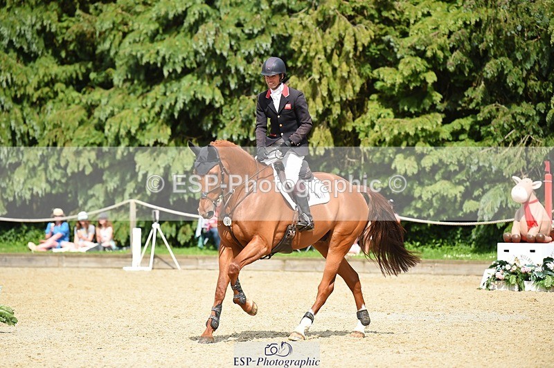 230528-153530-19103 - 181-AMIRO_ISLAND-Harry_Meade-SUNTrotUp+SJ