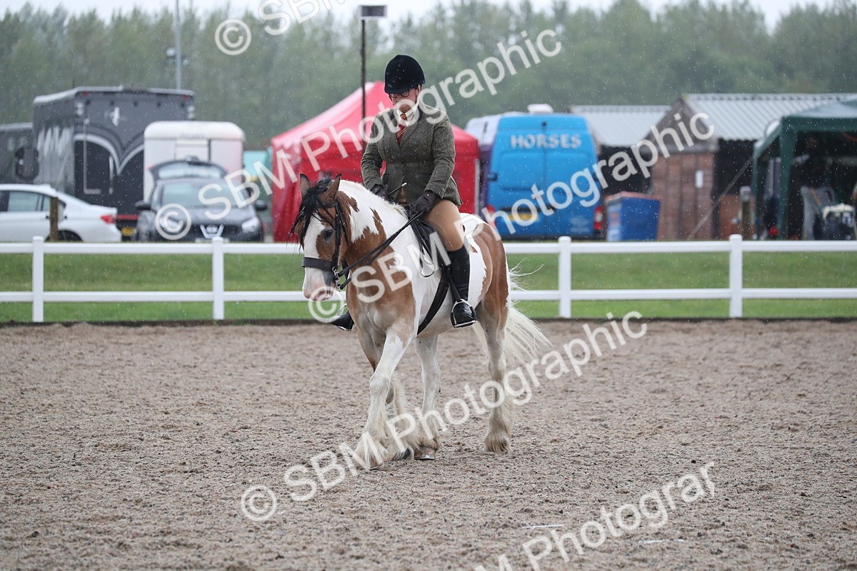 SBM_20480 - Class 601 - 2025 Area - Ridden Diamond