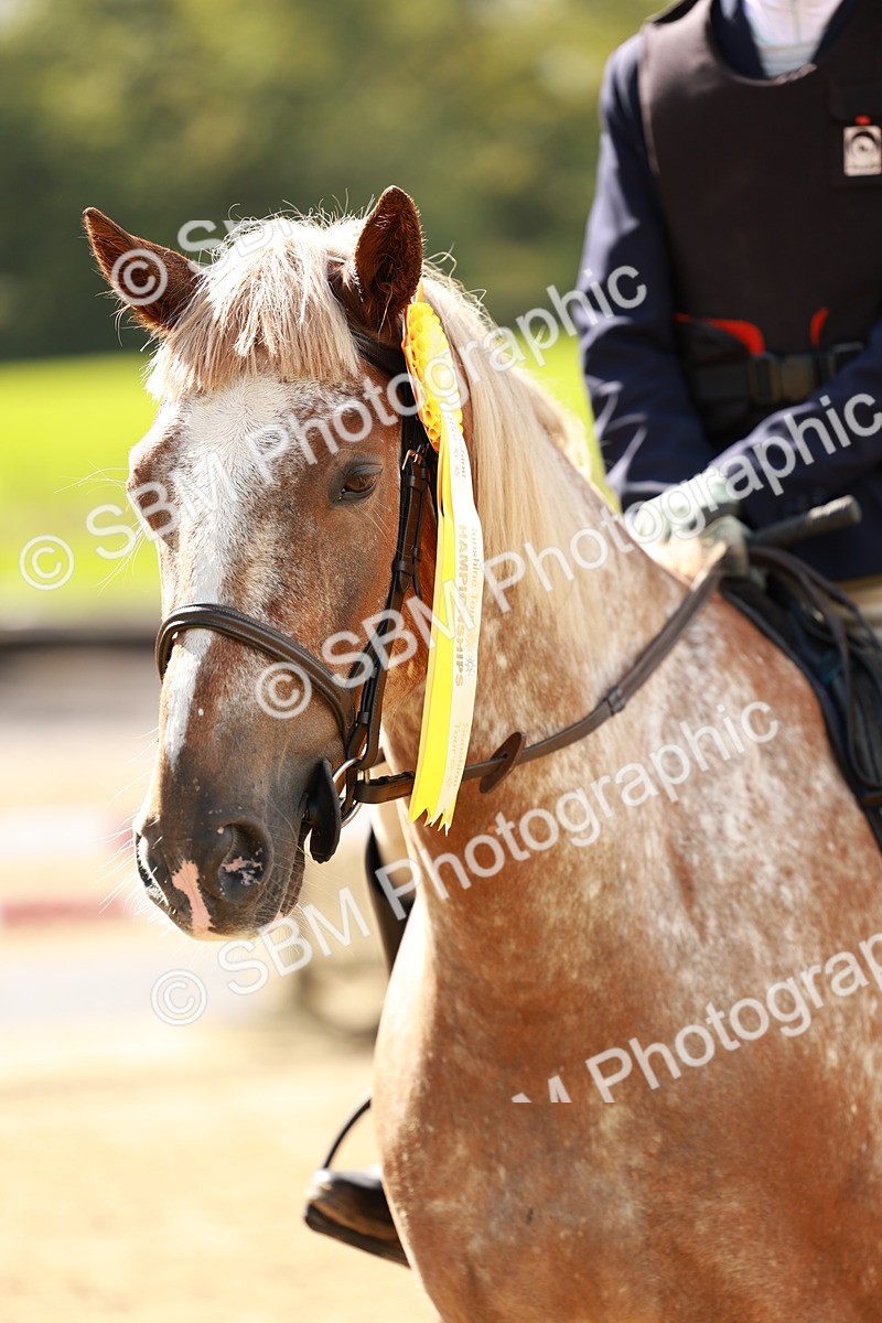SBM_38121 - J39 - Senior Horse & Pony 85cm Championship