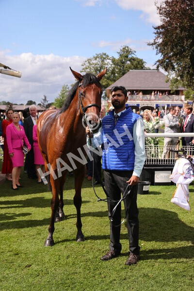 yr19082022r3-55 - Race 3 3.00pm Al Basti Equiworld Dubai Gimcrack Stakes