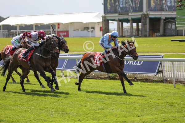 yr13052021r1-27 - Race 1 1.40pm The Matchbook Betting Exchange Stakes