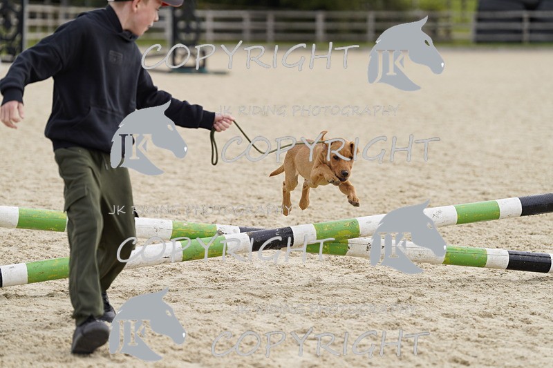 _DSC0013 - Mini Pairs