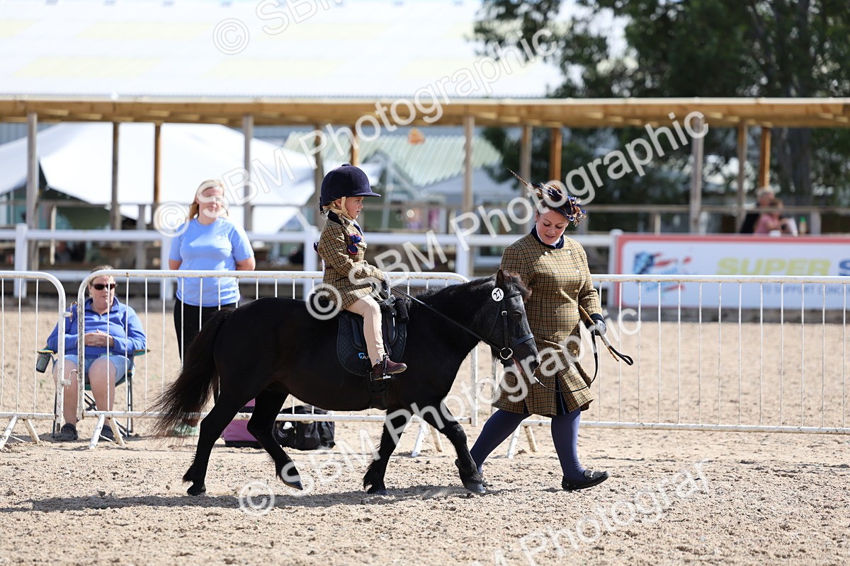 SBM_13046 - Class 309 - Lead Rein Pony