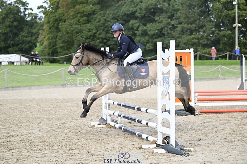 251005A-123621-03847 - Cls 08 Mini 70-75cm