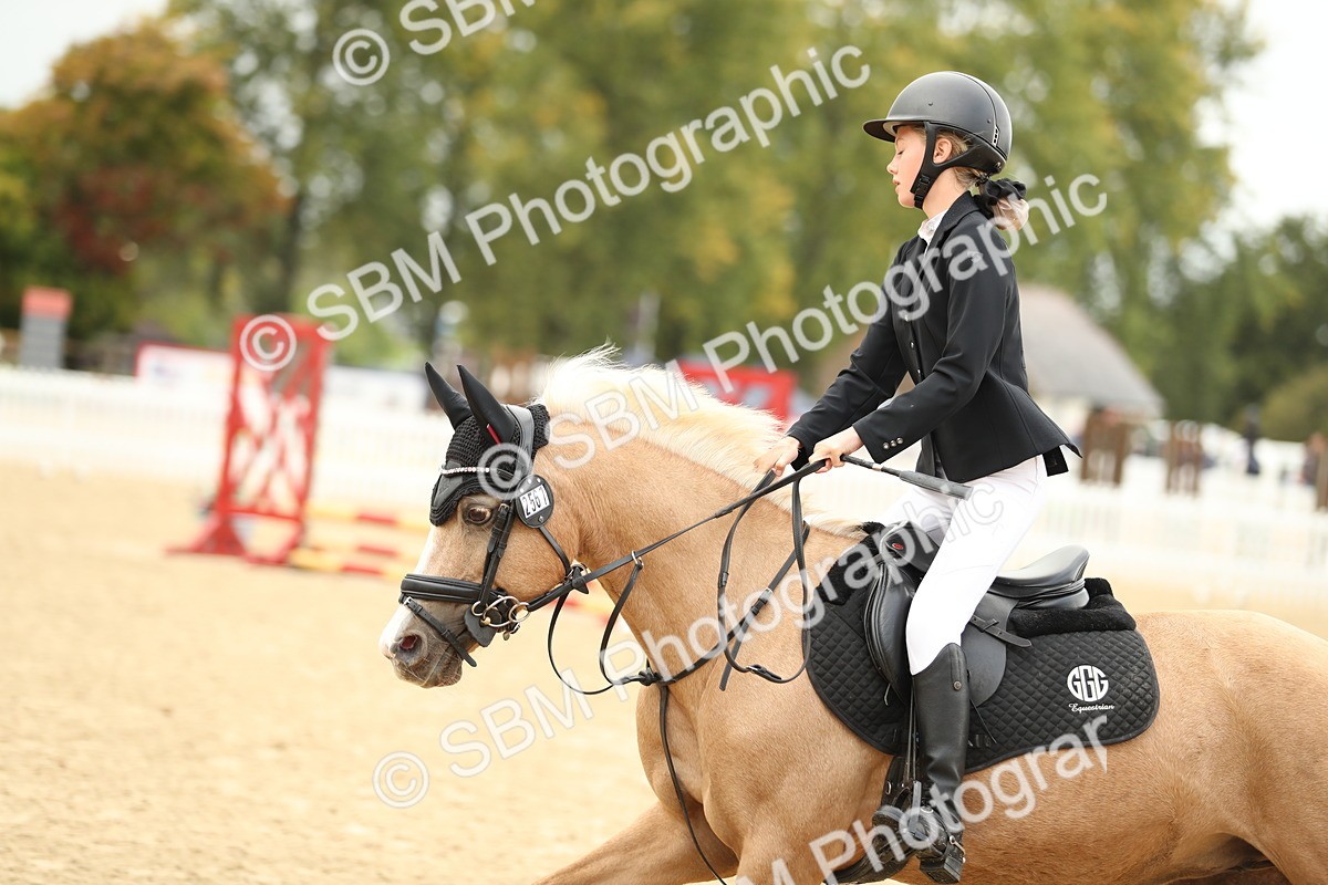 SBM_34239 - J60 Clear Round 50cm
