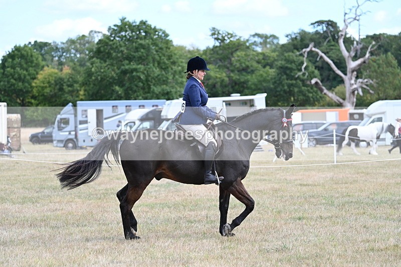 WJ7_5951 - Class 13 Ridden Veterans